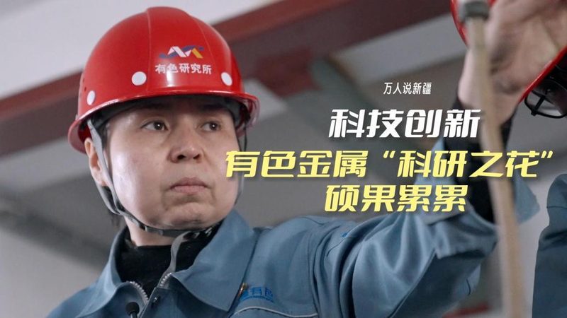 物流与供应链管理：本质区别与关键要素